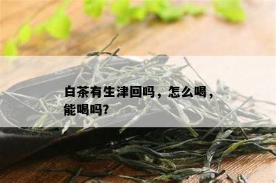 白茶有生津回吗，怎么喝，能喝吗？