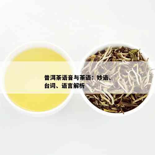 普洱茶语音与茶语：妙语、台词、语言解析