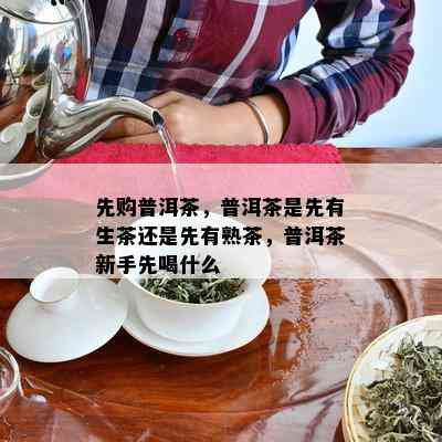 先购普洱茶，普洱茶是先有生茶还是先有熟茶，普洱茶新手先喝什么