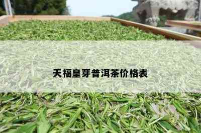 天福皇芽普洱茶价格表