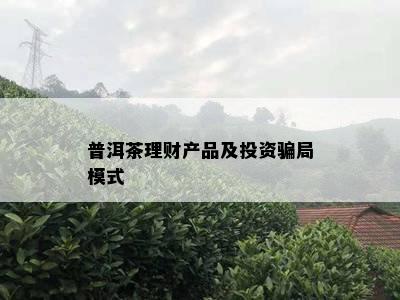 普洱茶理财产品及投资骗局模式