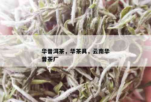 华普洱茶，华茶具，云南华普茶厂