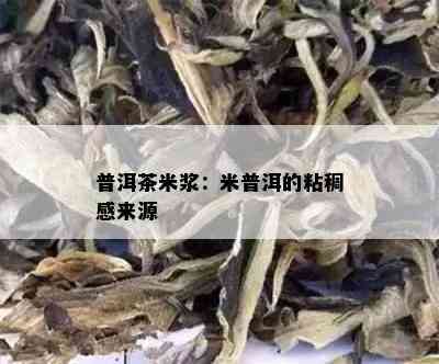 普洱茶米浆：米普洱的粘稠感来源