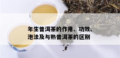 年生普洱茶的作用、功效、泡法及与熟普洱茶的区别