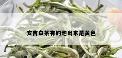 安吉白茶有的泡出来是黄色