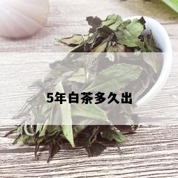 5年白茶多久出