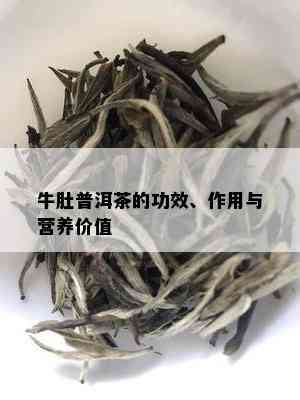 牛肚普洱茶的功效、作用与营养价值