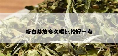 新白茶放多久喝比较好一点