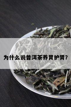 为什么说普洱茶养胃护胃？