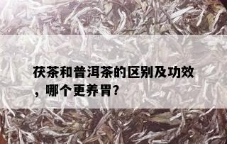 茯茶和普洱茶的区别及功效，哪个更养胃？