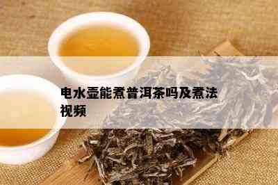 电水壶能煮普洱茶吗及煮法视频