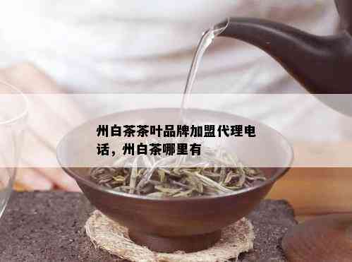 州白茶茶叶品牌加盟代理电话，州白茶哪里有