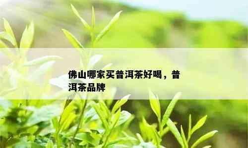 佛山哪家买普洱茶好喝，普洱茶品牌