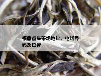 福鼎点头茶场地址、电话号码及位置