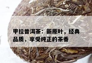 甲拉普洱茶：新原叶，经典品质，享受纯正的茶香