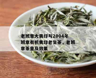 老班章大黄印与2004年班章有机黄印老生茶，老班章茶皇及效果