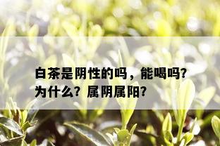 白茶是阴性的吗，能喝吗？为什么？属阴属阳？