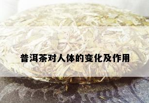 普洱茶对人体的变化及作用