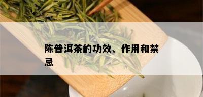 陈普洱茶的功效、作用和禁忌