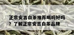 正宗安吉白茶推荐喝吗好吗？了解正宗安吉白茶品牌