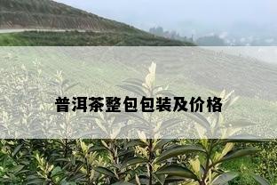 普洱茶整包包装及价格