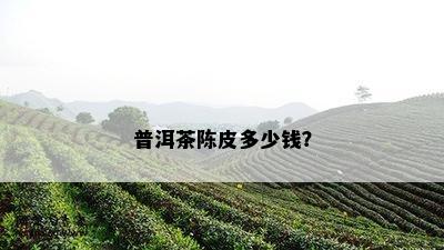 普洱茶陈皮多少钱？