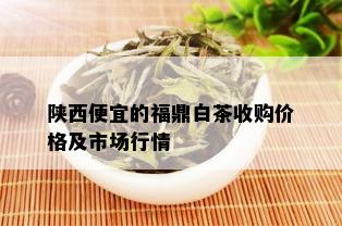 陕西便宜的福鼎白茶收购价格及市场行情