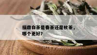 福鼎白茶是春茶还是秋茶，哪个更好？