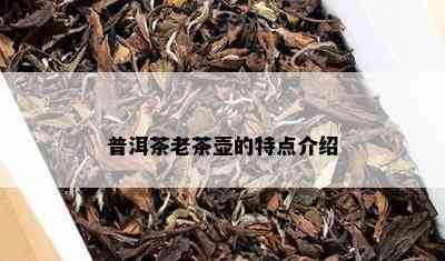 普洱茶老茶壶的特点介绍