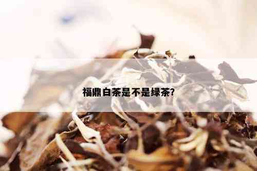 福鼎白茶是不是绿茶？