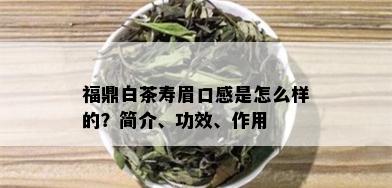 福鼎白茶寿眉口感是怎么样的？简介、功效、作用