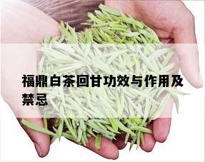 福鼎白茶回甘功效与作用及禁忌