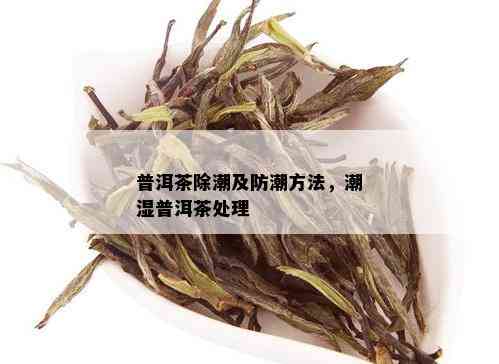 普洱茶除潮及防潮方法，潮湿普洱茶处理