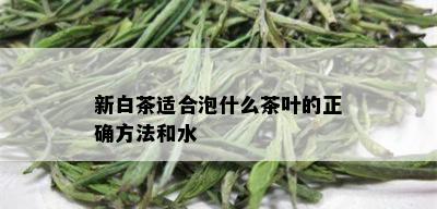 新白茶适合泡什么茶叶的正确方法和水