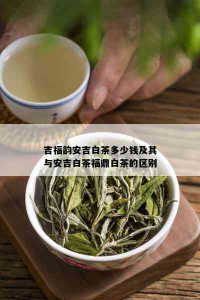 吉福韵安吉白茶多少钱及其与安吉白茶福鼎白茶的区别