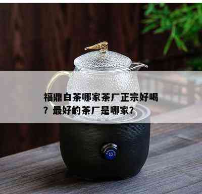 福鼎白茶哪家茶厂正宗好喝？更好的茶厂是哪家？