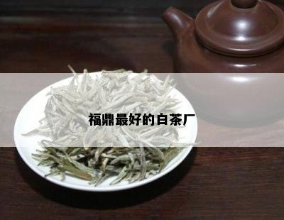 福鼎更好的白茶厂