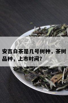 安吉白茶是几号树种，茶树品种，上市时间？