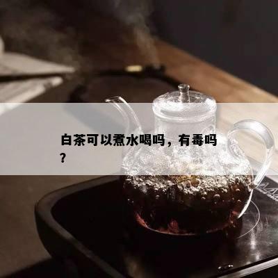 白茶可以煮水喝吗，有吗？