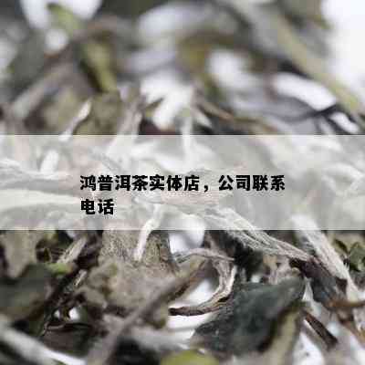 鸿普洱茶实体店，公司联系电话