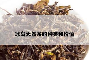 冰岛天然茶的种类和价值