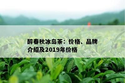 醉春秋冰岛茶：价格、品牌介绍及2019年价格