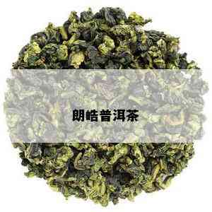 朗皓普洱茶