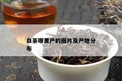 白茶哪里产的图片及产地分布