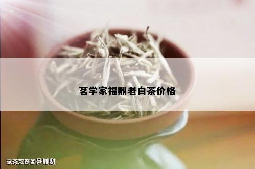 茗学家福鼎老白茶价格