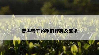 普洱端午根的种类及煮法