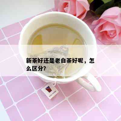 新茶好还是老白茶好呢，怎么区分？