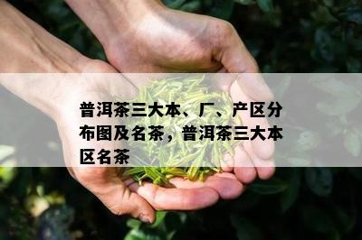 普洱茶三大本、厂、产区分布图及名茶，普洱茶三大本区名茶