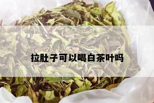 拉肚子可以喝白茶叶吗