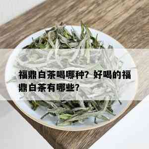 福鼎白茶喝哪种？好喝的福鼎白茶有哪些？